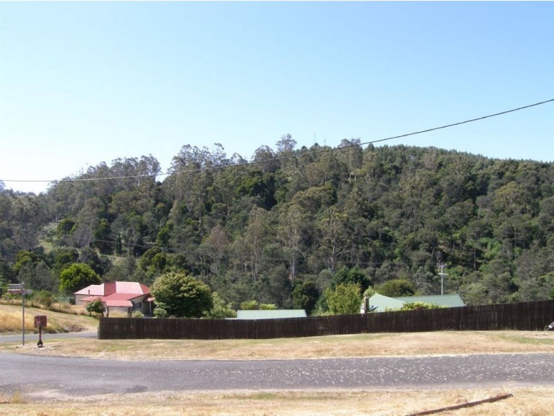 17 Renison Street, Derby TAS 7264