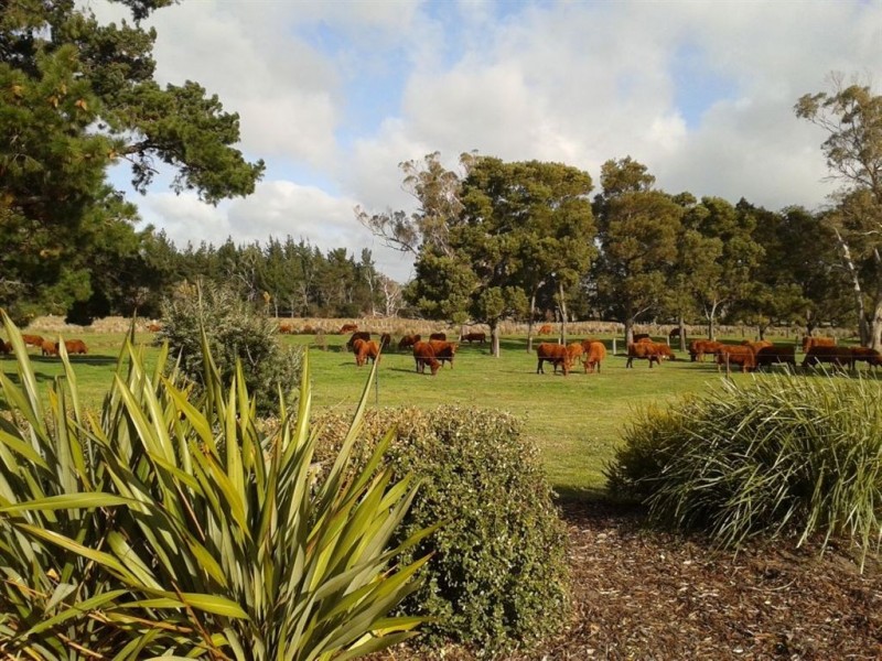 278 Waterhouse Road, Bridport TAS 7262