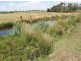 278 Waterhouse Road, Bridport TAS 7262