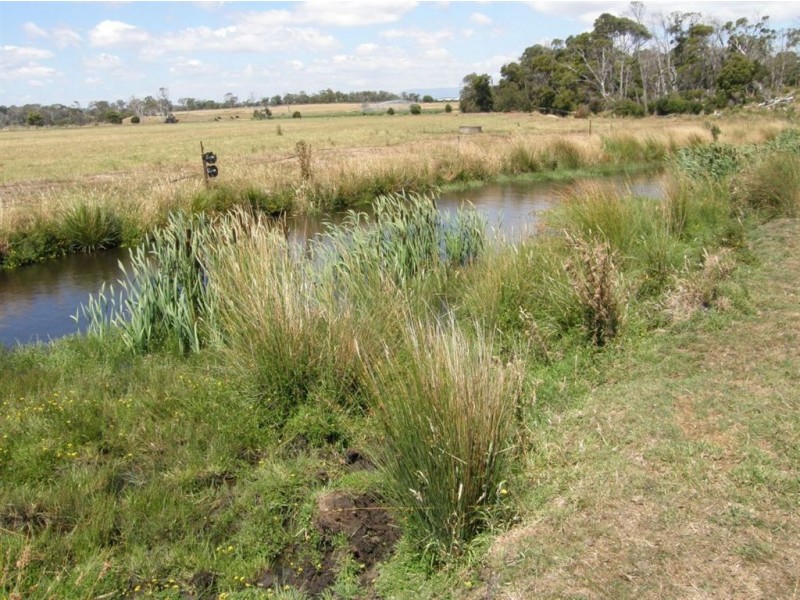 278 Waterhouse Road, Bridport TAS 7262