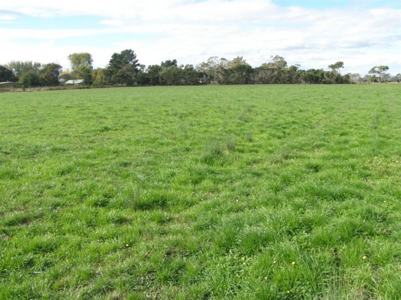 278 Waterhouse Road, Bridport TAS 7262