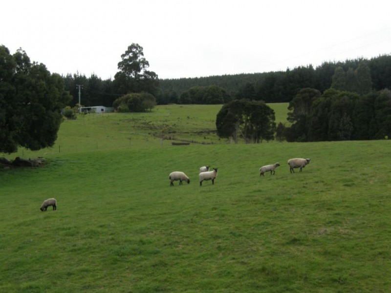 370 Banca Road, Winnaleah TAS 7265