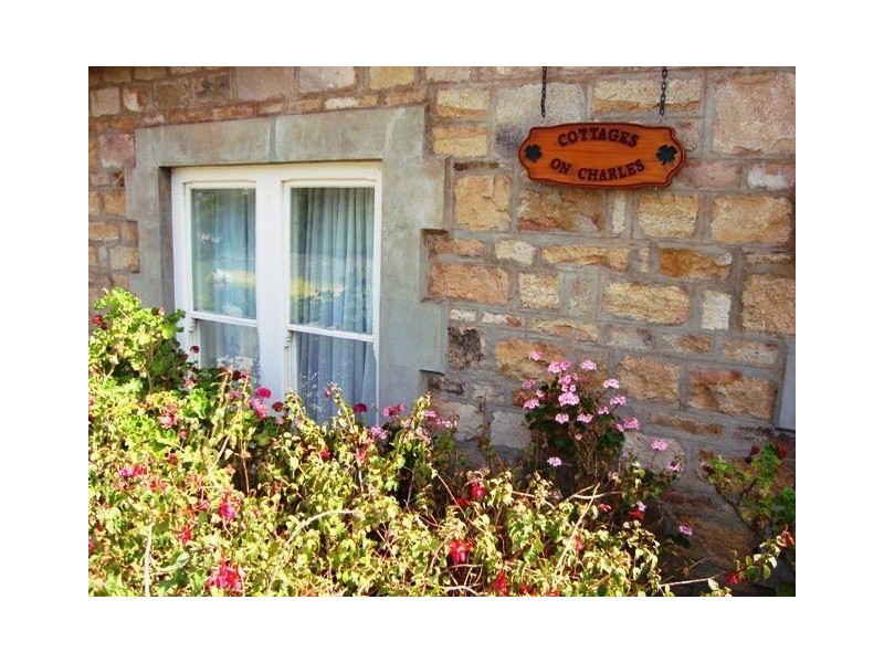 3 Charles Street, Scottsdale TAS 7260