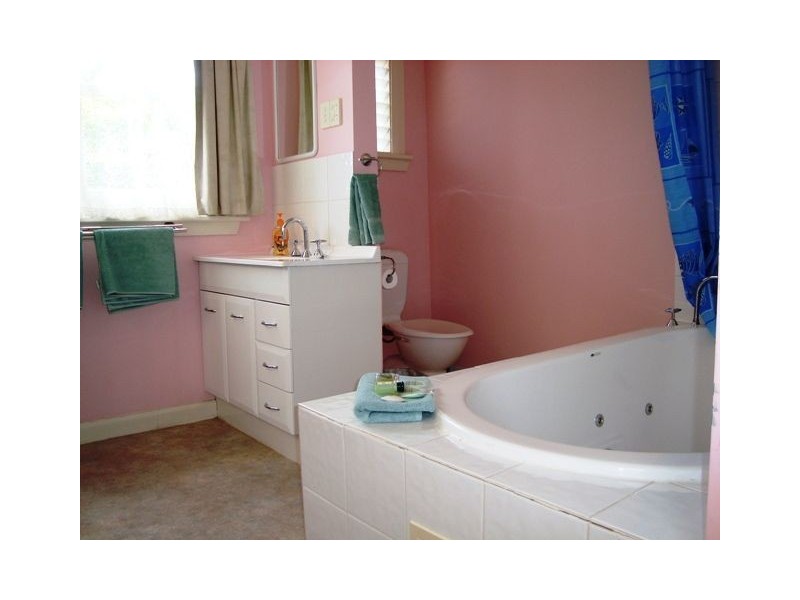 3 Charles Street, Scottsdale TAS 7260