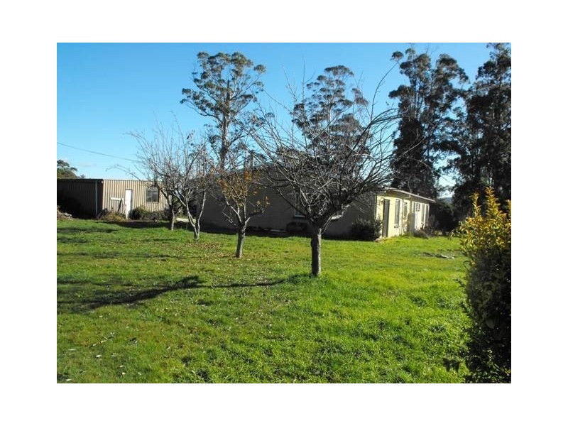 791 New River Rd, Ringarooma TAS 7263