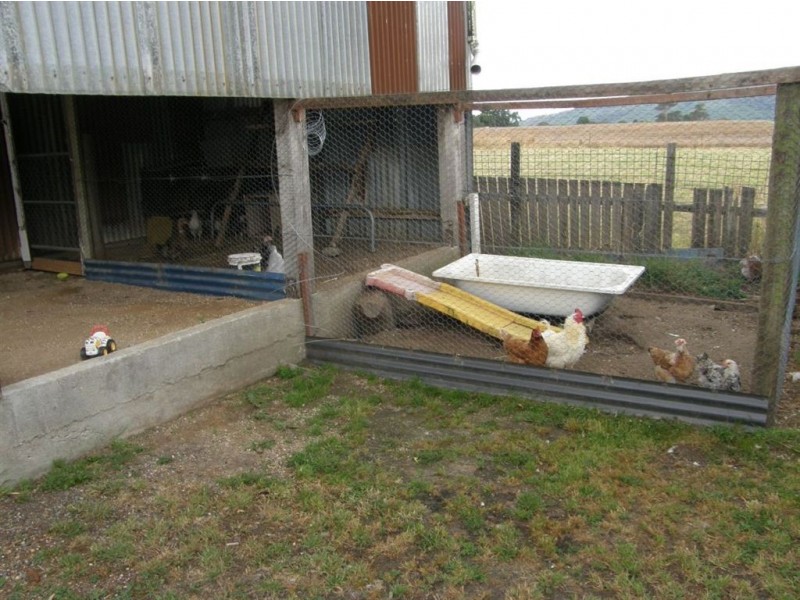 43 Main St, Ringarooma TAS 7263