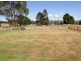 211 Barnetts Road, Ringarooma TAS 7263