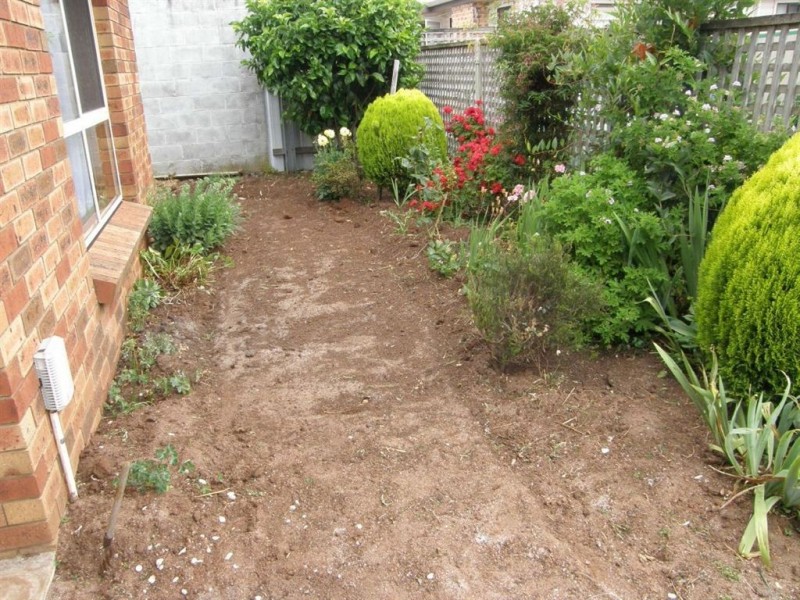 2/25 Ellenor St, Scottsdale TAS 7260