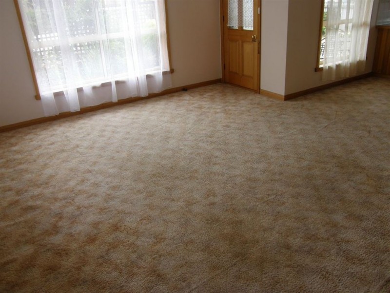 2/25 Ellenor St, Scottsdale TAS 7260