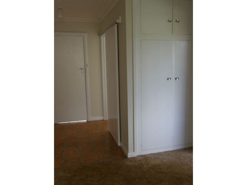 11 Alice St, Scottsdale TAS 7260