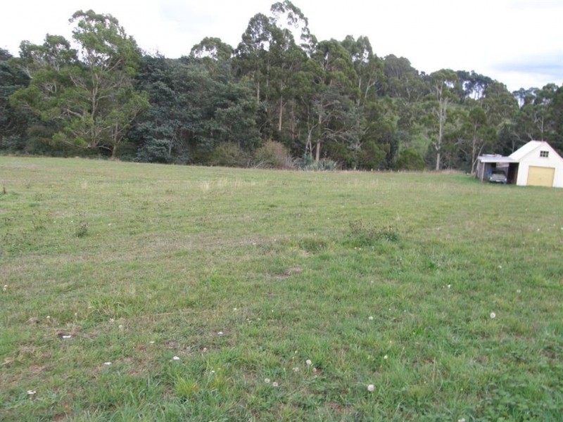 Lot 13 Main Road, Weldborough TAS 7264