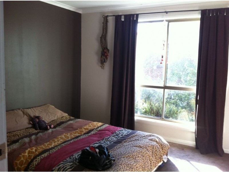 36 Walter St, Bridport TAS 7262