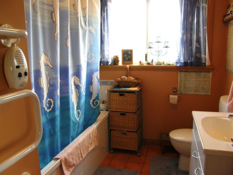 25 Richard Street, Bridport TAS 7262