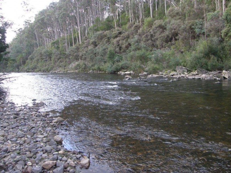 286 Mutual Road, Derby TAS 7264