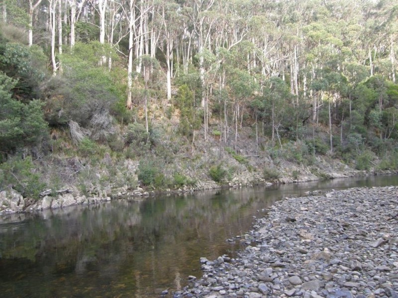 286 Mutual Road, Derby TAS 7264