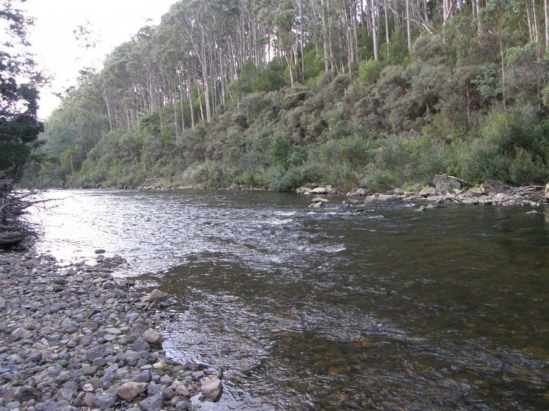 286 Mutual Road, Derby TAS 7264