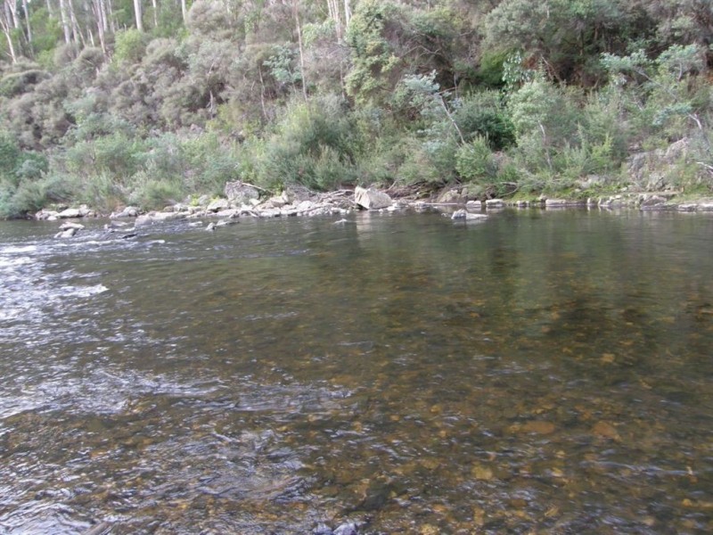 286 Mutual Road, Derby TAS 7264