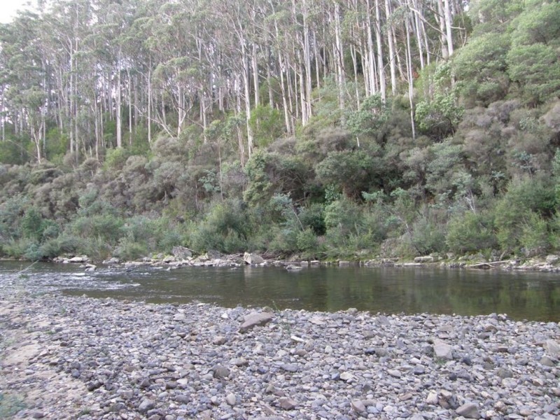 286 Mutual Road, Derby TAS 7264