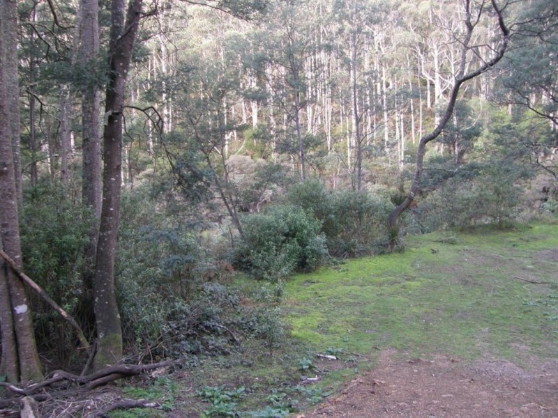 286 Mutual Road, Derby TAS 7264