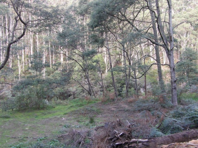 286 Mutual Road, Derby TAS 7264