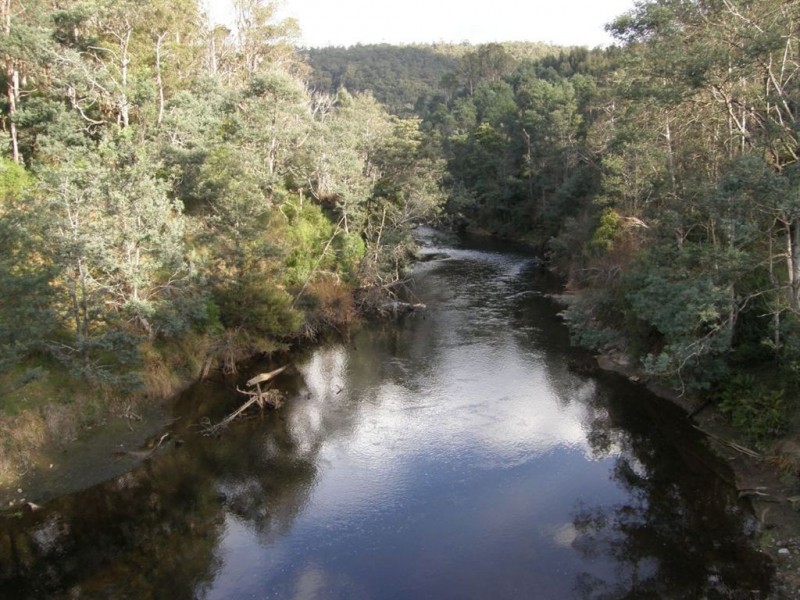 286 Mutual Road, Derby TAS 7264