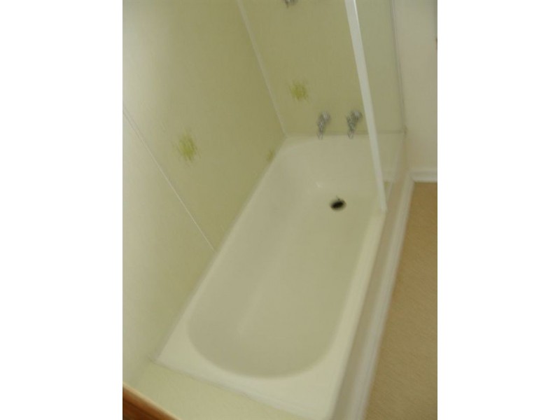 41 Spotswood Drive, Scottsdale TAS 7260