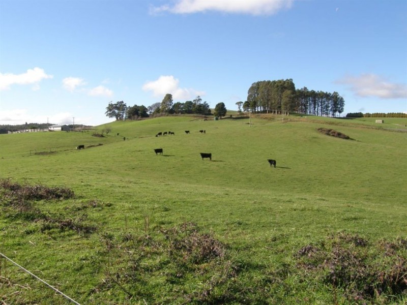 . Tasman Highway, Springfield TAS 7260