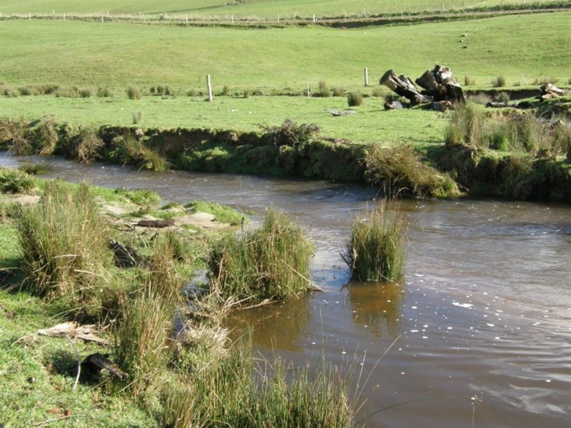 . Tasman Highway, Springfield TAS 7260