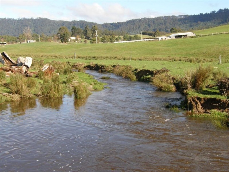 . Tasman Highway, Springfield TAS 7260