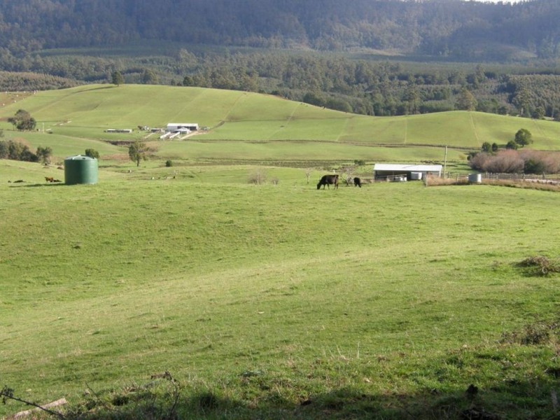 . Tasman Highway, Springfield TAS 7260