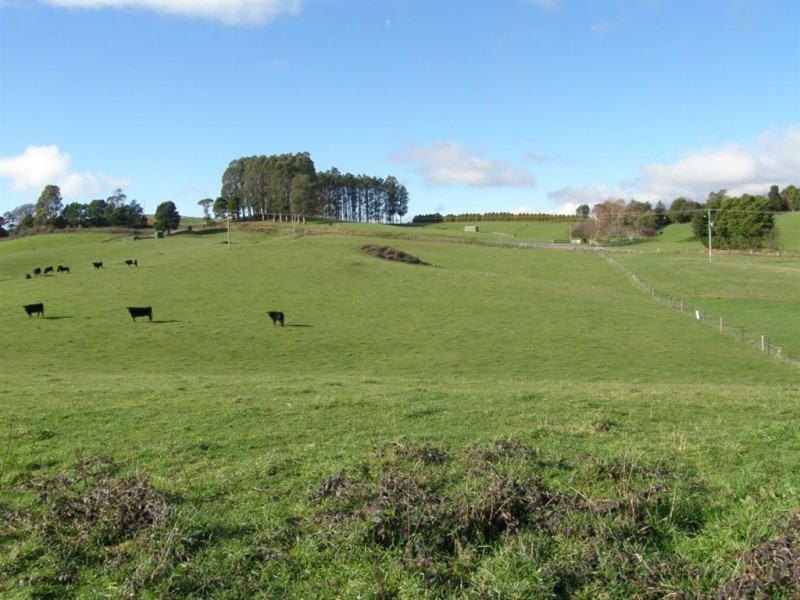 . Tasman Highway, Springfield TAS 7260