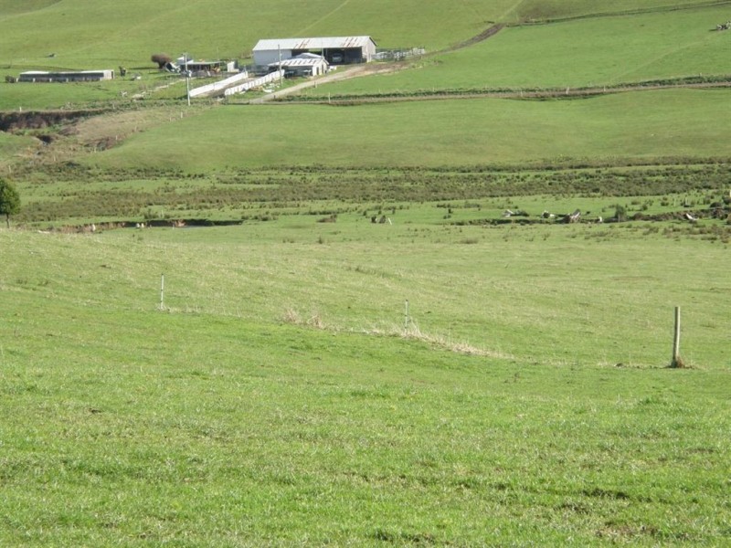 . Tasman Highway, Springfield TAS 7260