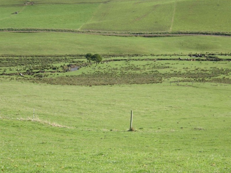 . Tasman Highway, Springfield TAS 7260