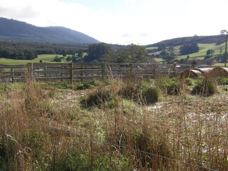 . Tasman Highway, Springfield TAS 7260