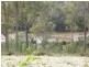 - Groves Street, Gladstone TAS 7264
