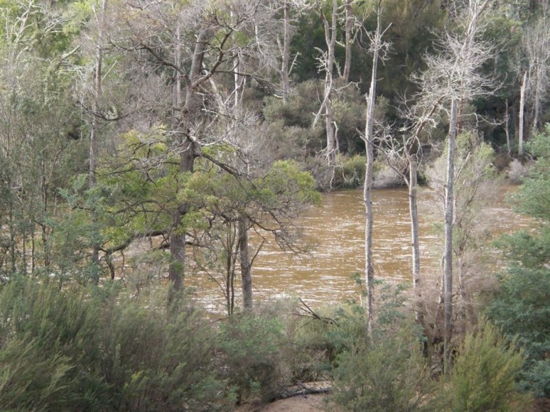 - Groves Street, Gladstone TAS 7264