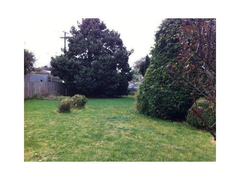 10 Smith St, Scottsdale TAS 7260