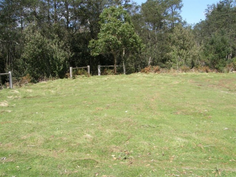 56 Scott Street, Branxholm TAS 7261