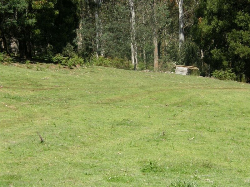 11 Maurice Road, Talawa TAS 7263