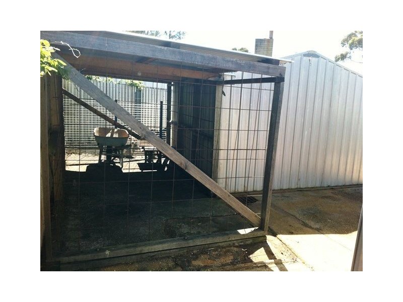 7 McGilp St, Scottsdale TAS 7260
