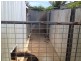 7 McGilp St, Scottsdale TAS 7260