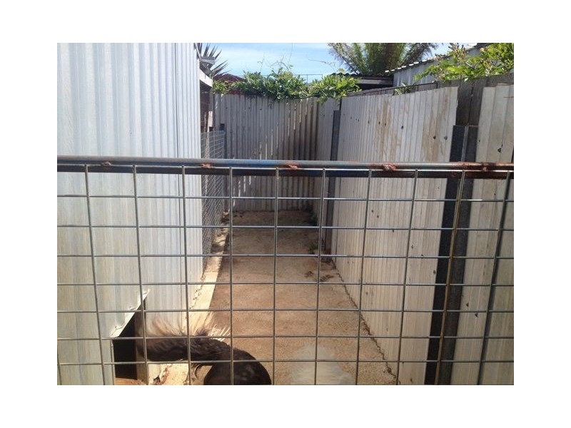 7 McGilp St, Scottsdale TAS 7260