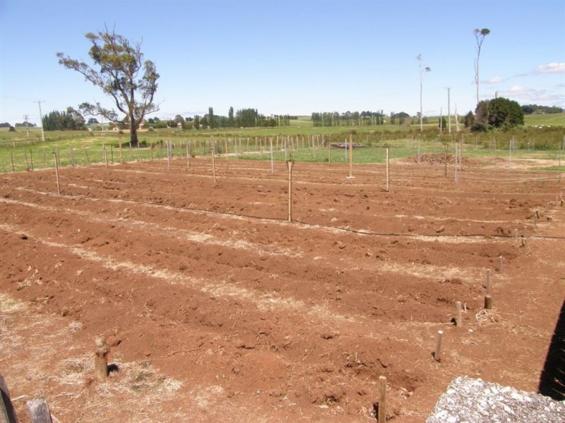 9 Banca Road, Winnaleah TAS 7265