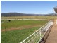 79 McDougalls Road, Legerwood TAS 7263