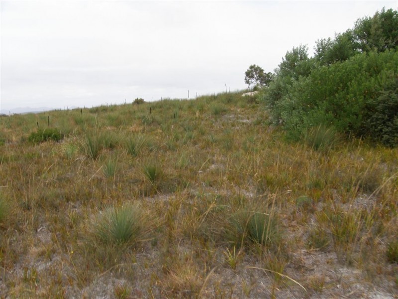 32 Carins Close, Tomahawk TAS 7262