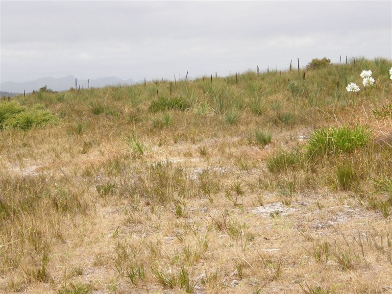 32 Carins Close, Tomahawk TAS 7262