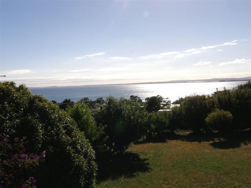 40 Walter Street, Bridport TAS 7262