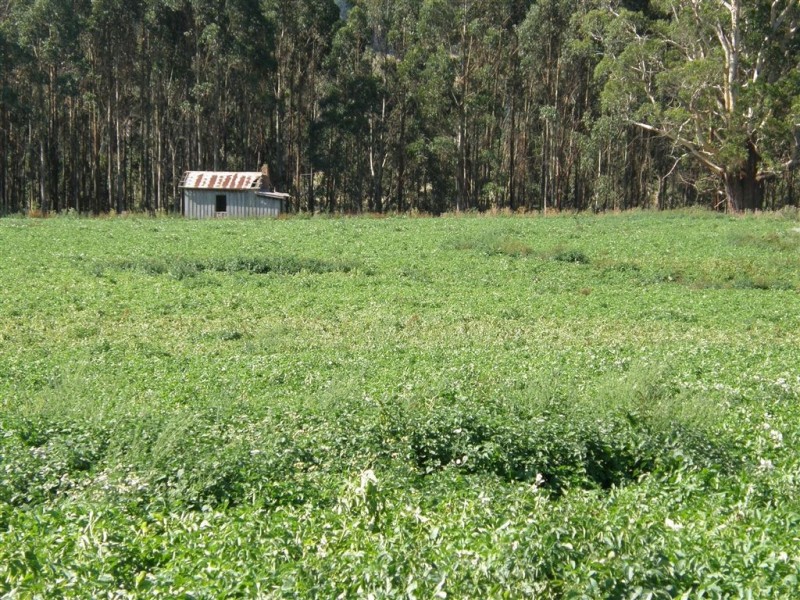 181 Ruby Flats Road, Ringarooma TAS 7263