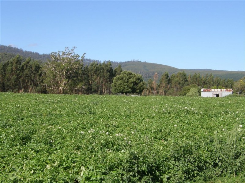 181 Ruby Flats Road, Ringarooma TAS 7263