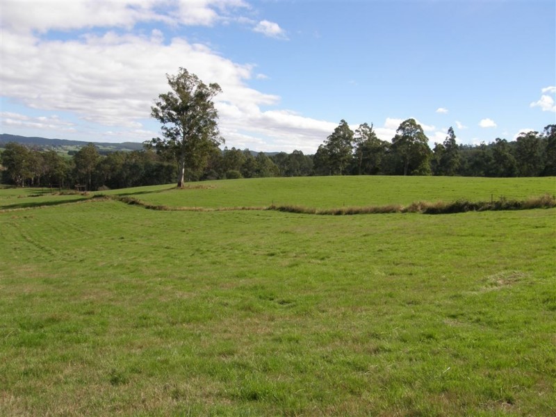 . Ruby Flats Road, Ringarooma TAS 7263